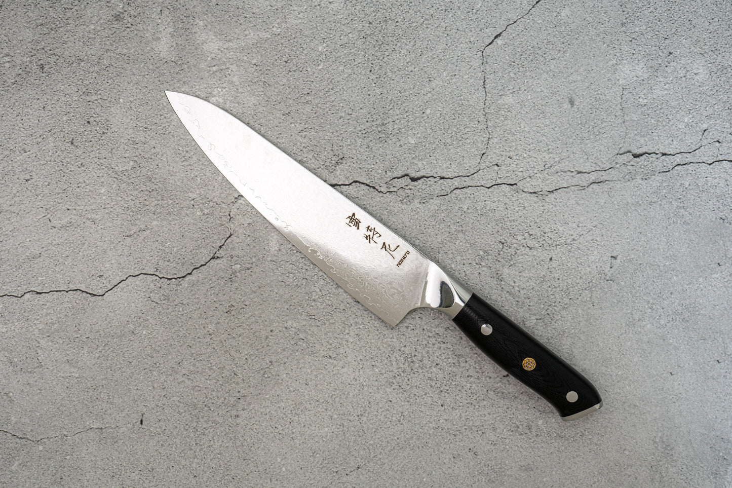 Damascus VG-10 Steel Core 67 layers Chef Knife G10 210mm Western Handle