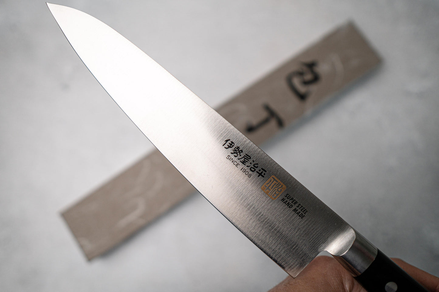 Iseya Molybdenum Gyuto Japanese Knife 210mm Black Pakka wood Handle