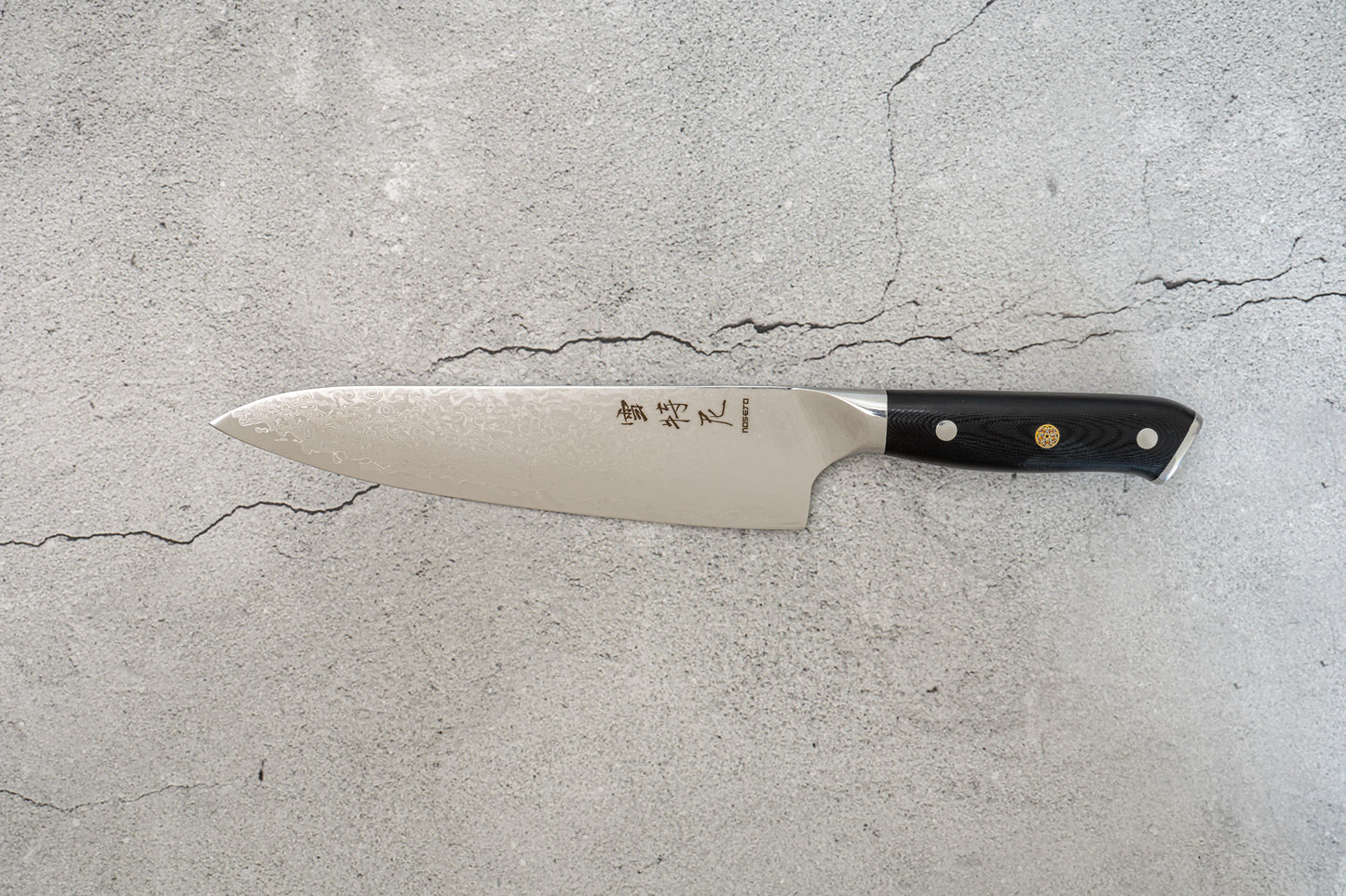 Damascus VG-10 Steel Core 67 layers Chef Knife G10 210mm Western Handle