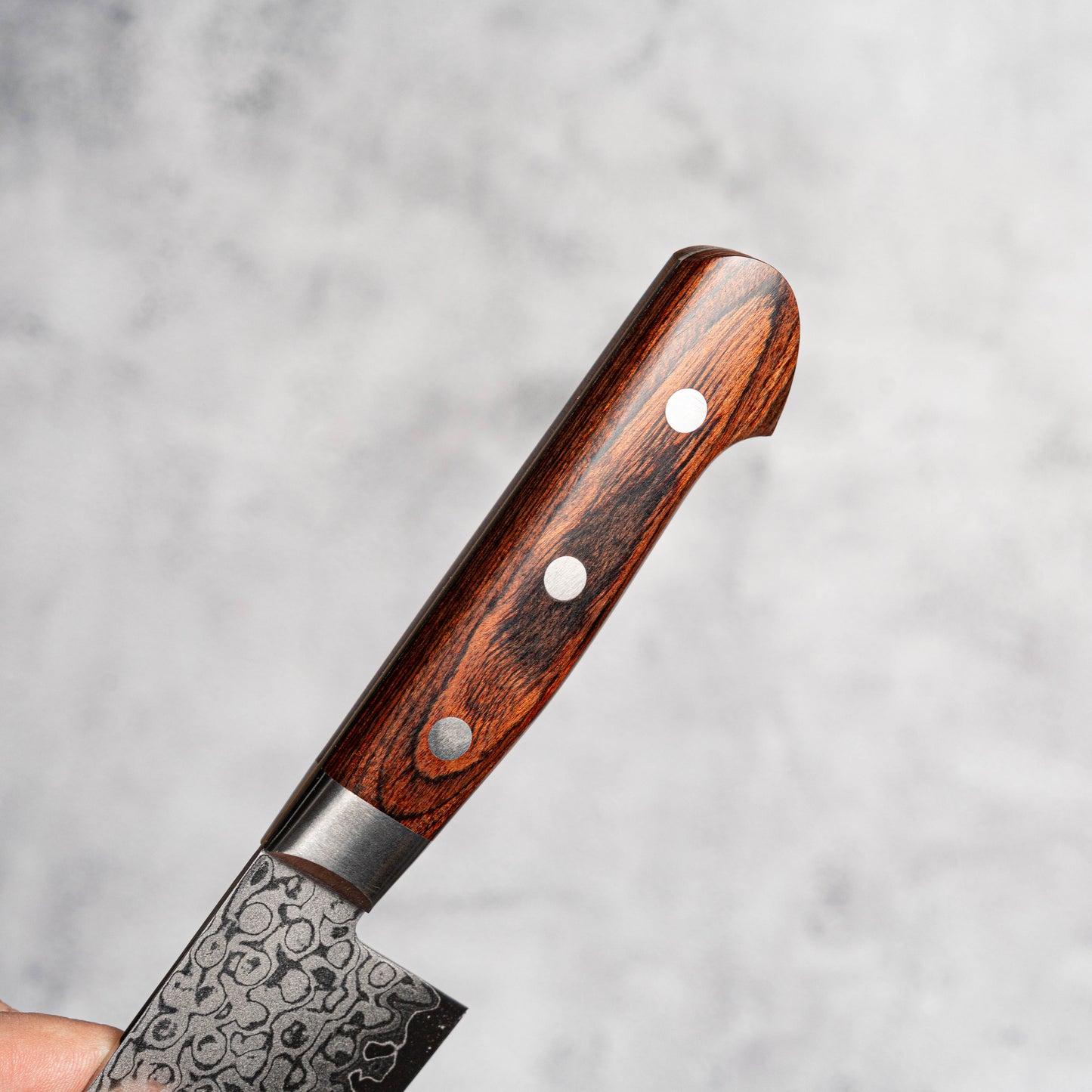 Couteau Santoku Sakai Takayuki 165 mm VG10 17 couches Damas finition miroir avec bois d'acajou